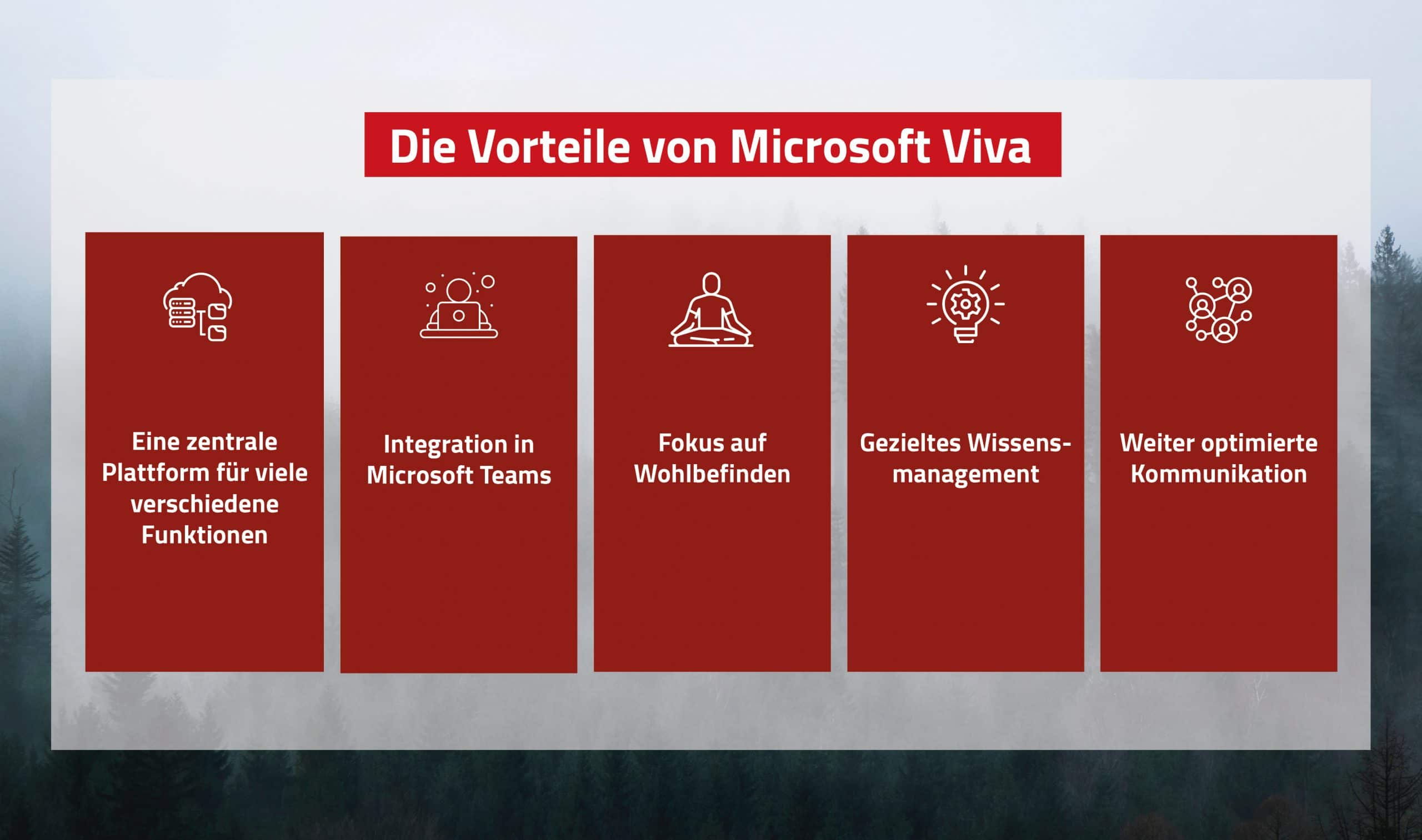 Das sind die Vorteile von Microsoft Viva