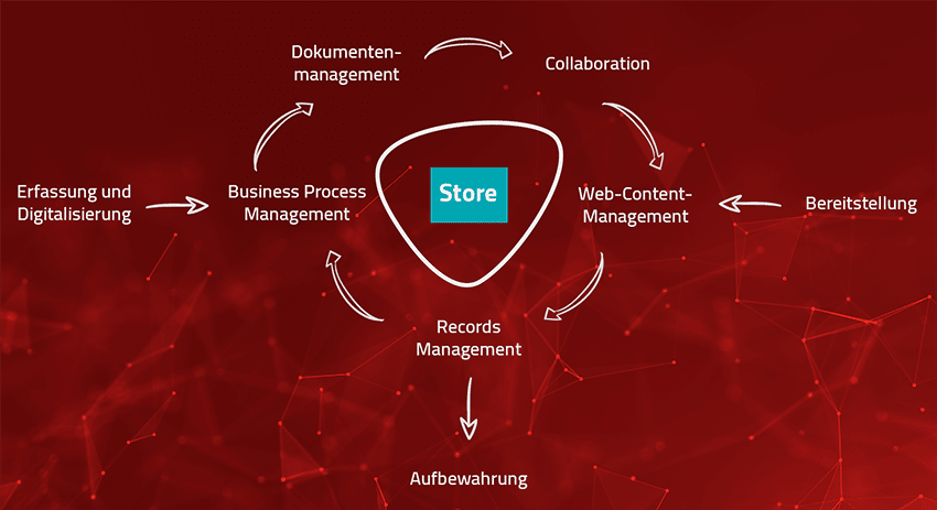 Die Komponenten von Enterprise Content Management