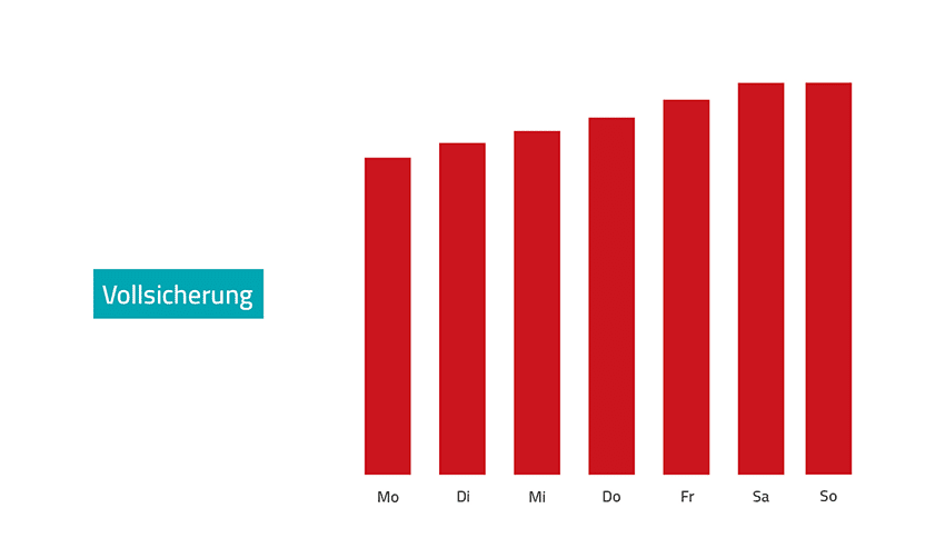 Variante 1: Vollsicherung