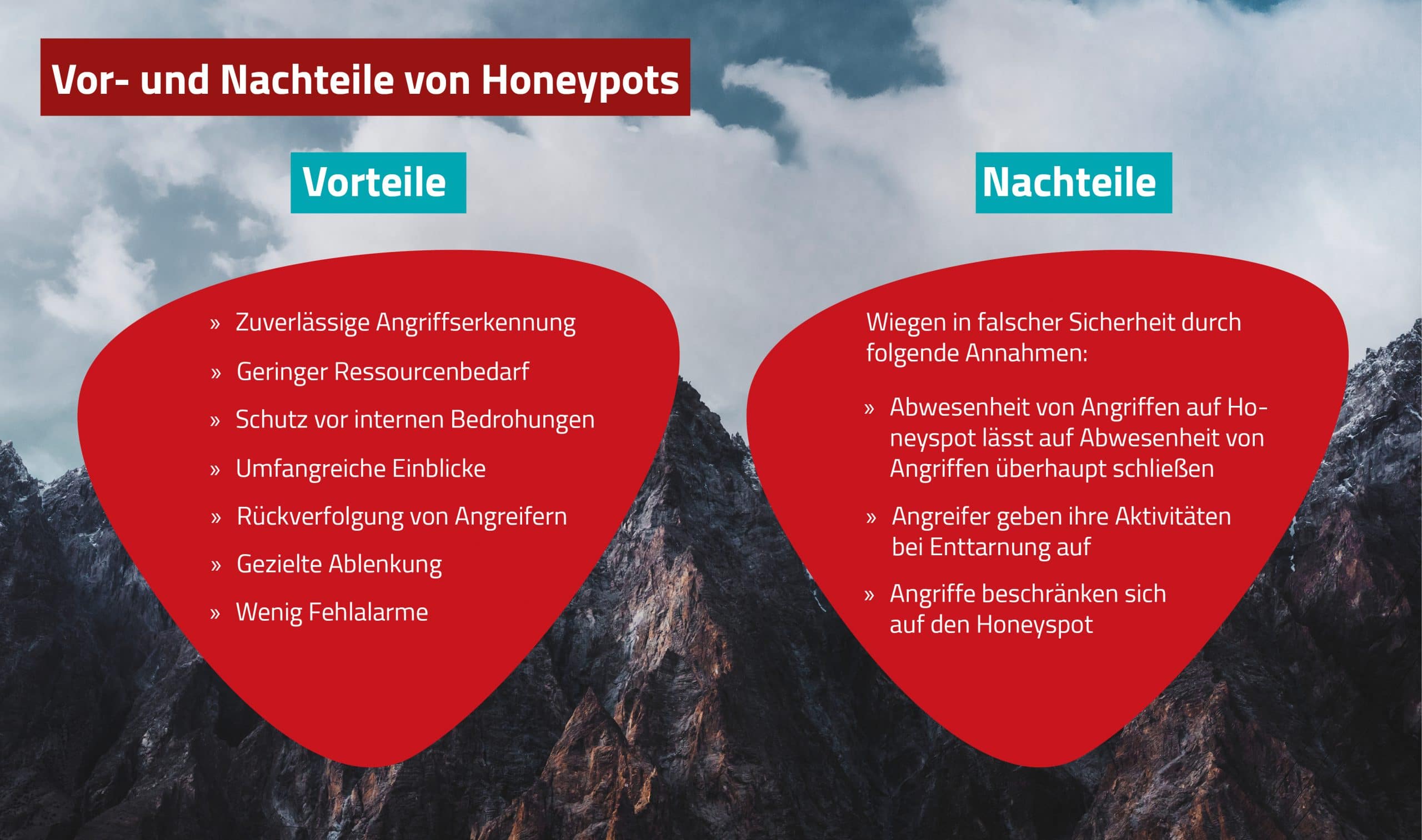 Honeyspot-Gegenüberstellung-Vor-und-Nachteile