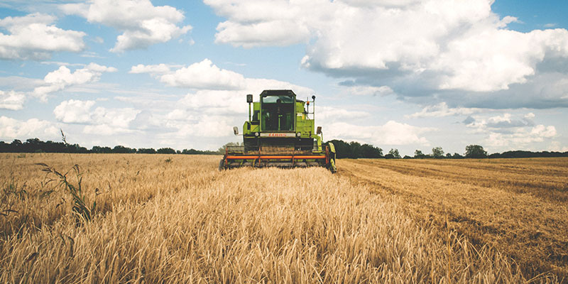 Vorschaubild Referenz Landwirtschaftsverlag ahd